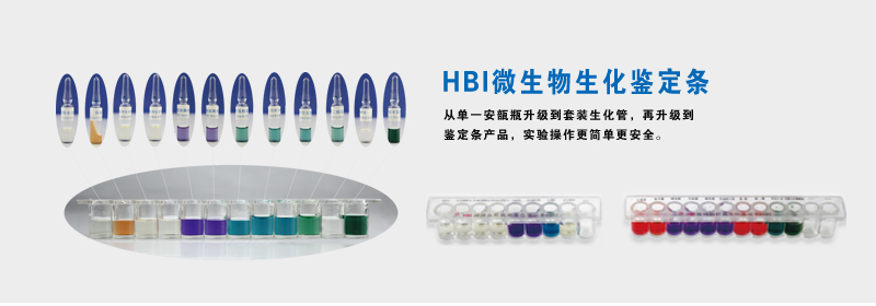 HBI微生物生化鉴定条